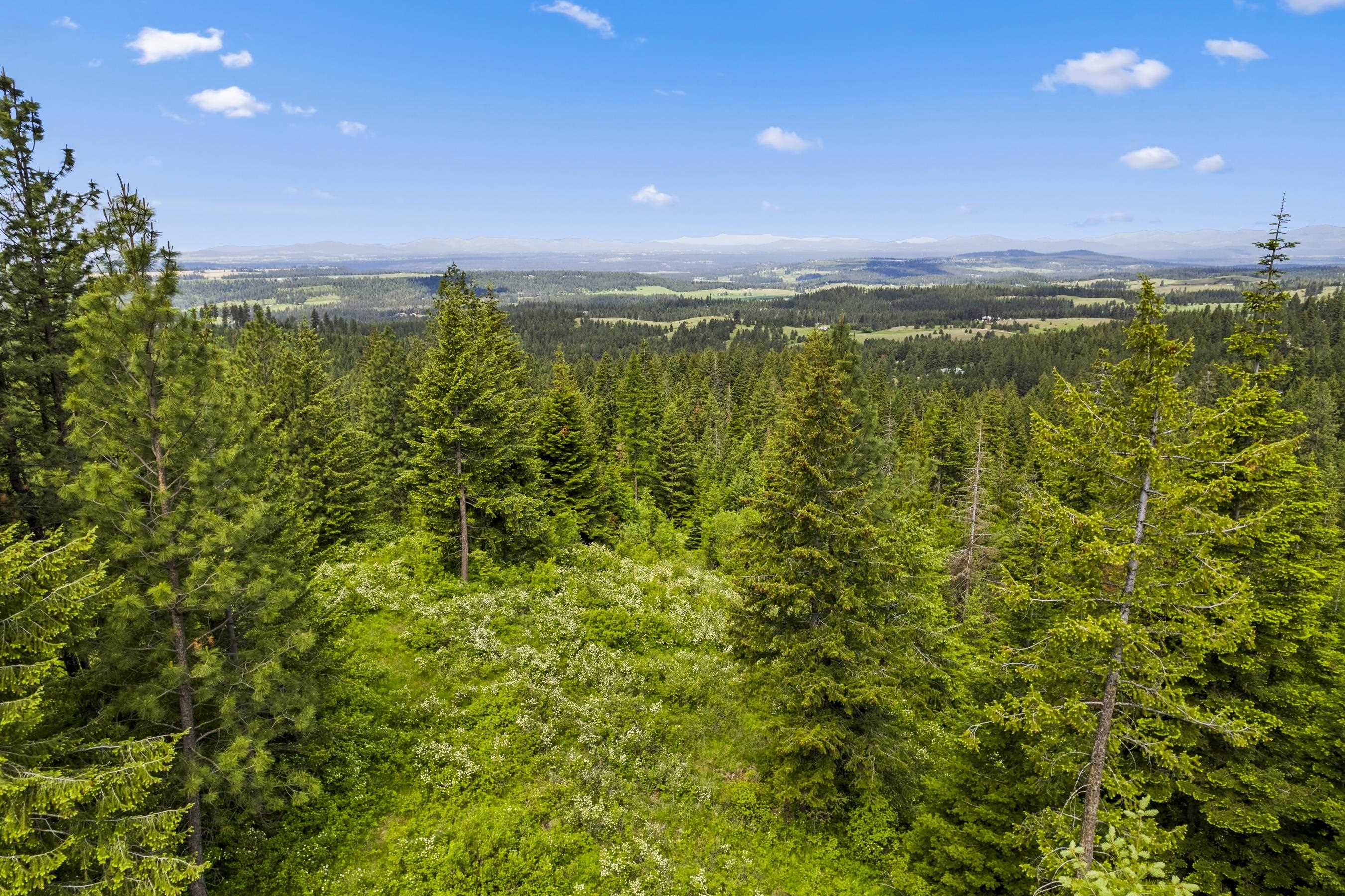 15124 East Emery Road Chattaroy, WA 99003 - Photo 11 of 26