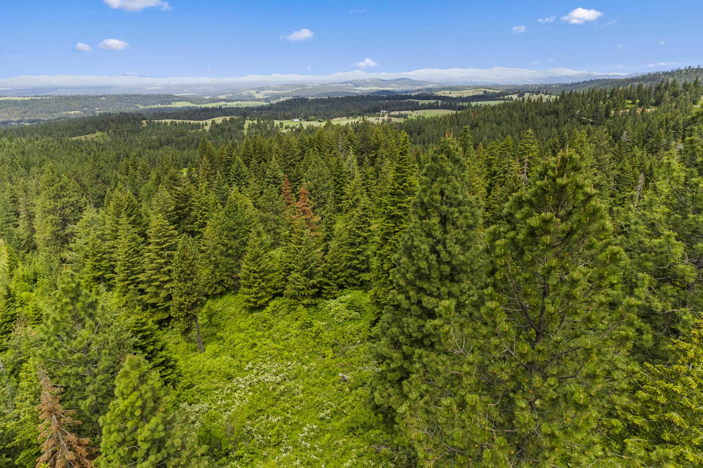 15124 East Emery Road Chattaroy, WA 99003 - Photo 12 of 26