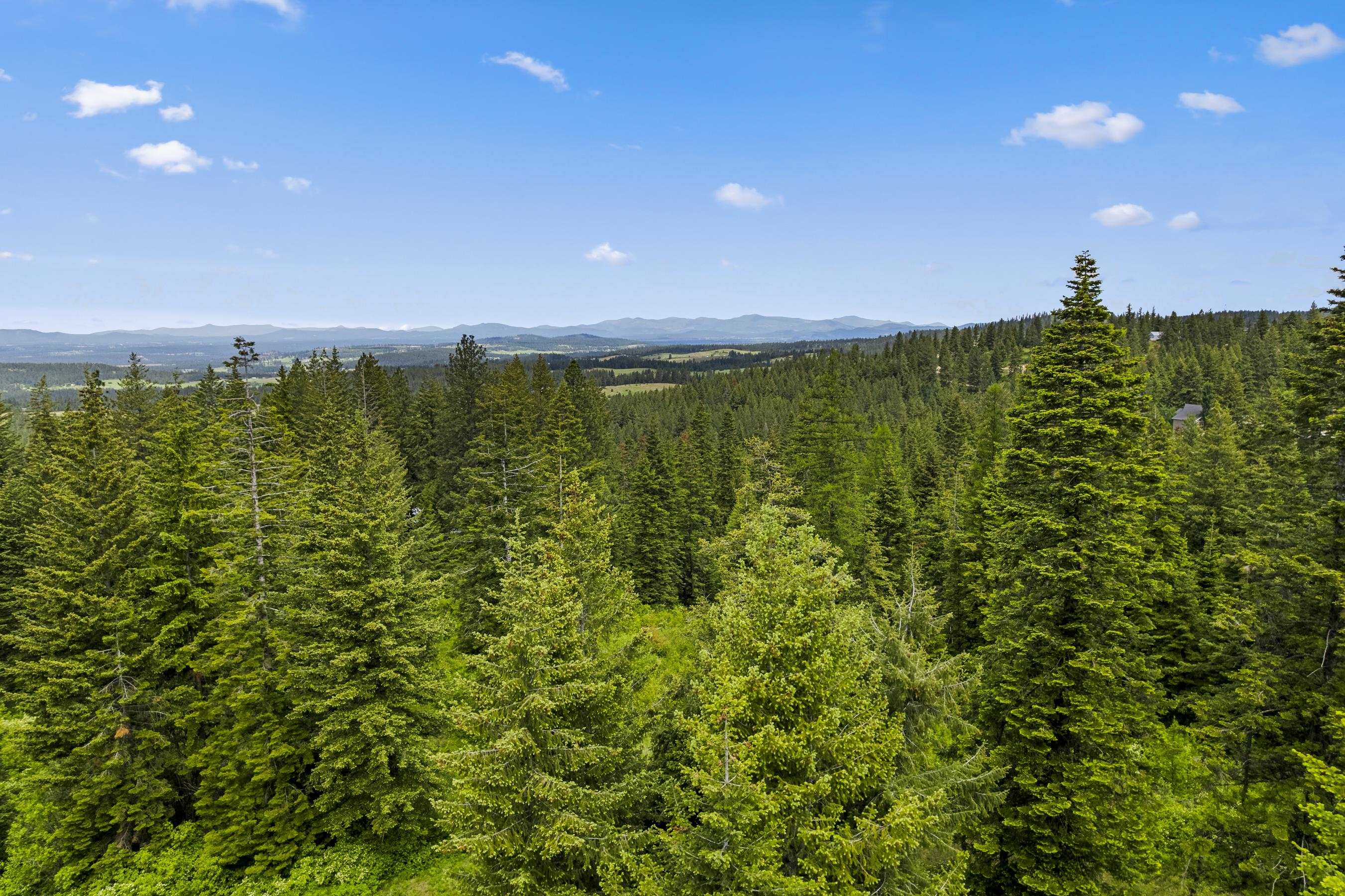 15124 East Emery Road Chattaroy, WA 99003 - Photo 13 of 26