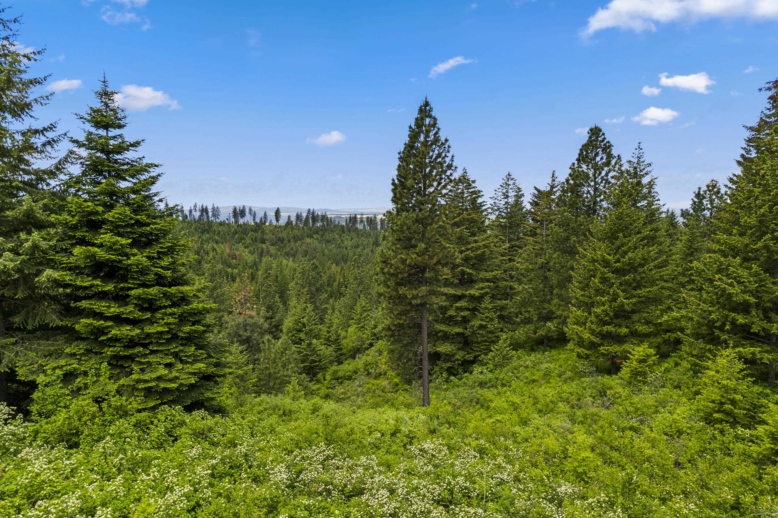 15124 East Emery Road Chattaroy, WA 99003 - Photo 14 of 26