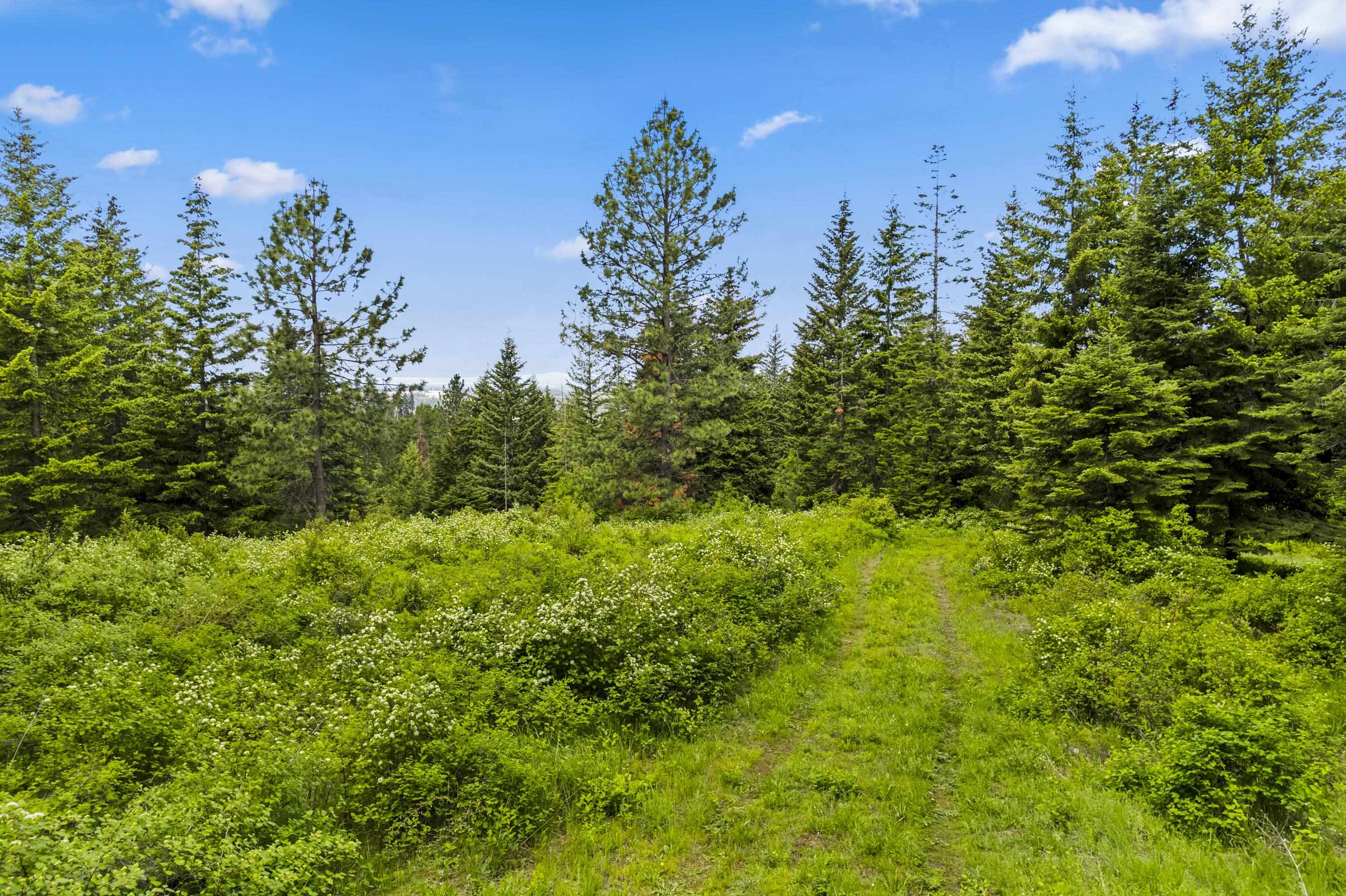 15124 East Emery Road Chattaroy, WA 99003 - Photo 15 of 26