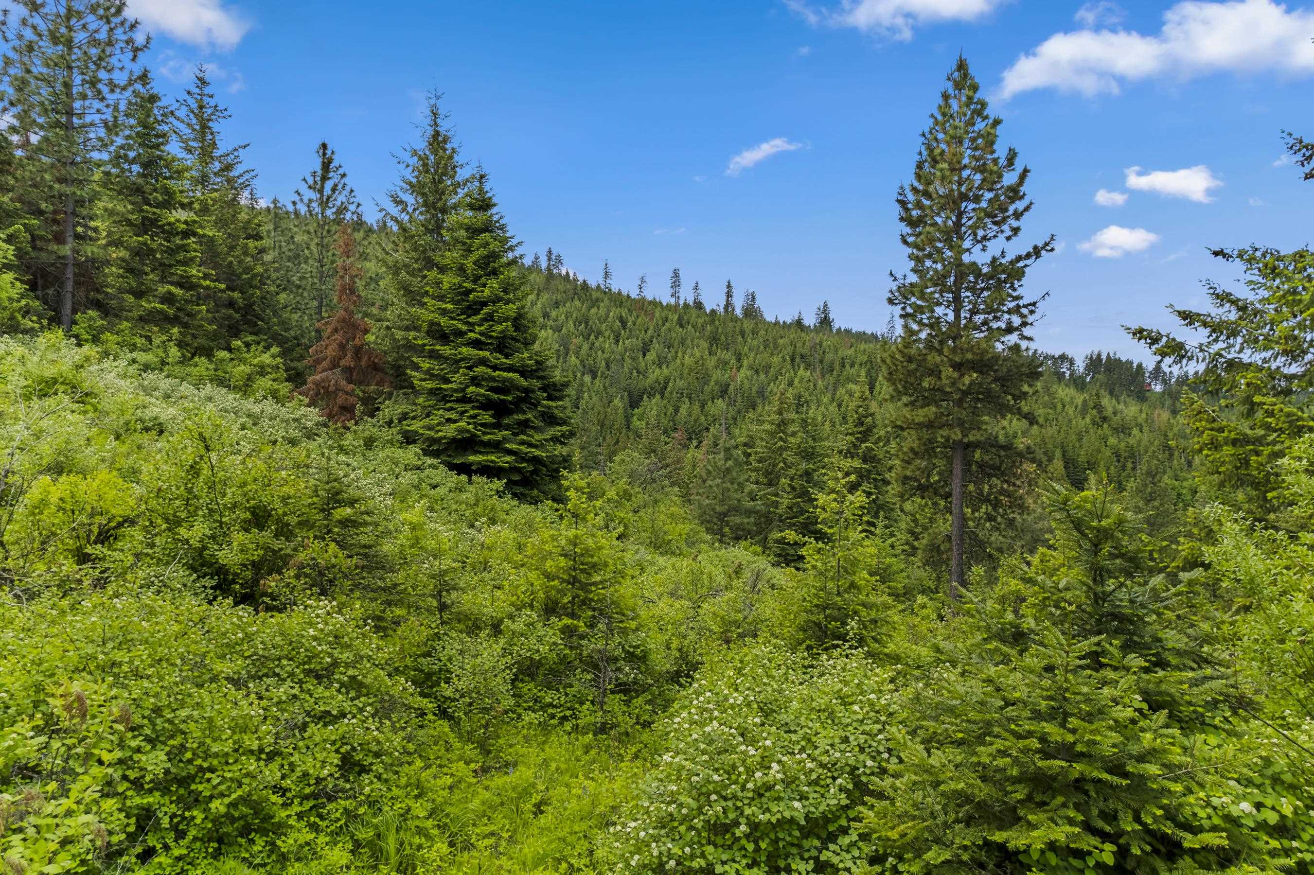 15124 East Emery Road Chattaroy, WA 99003 - Photo 16 of 26