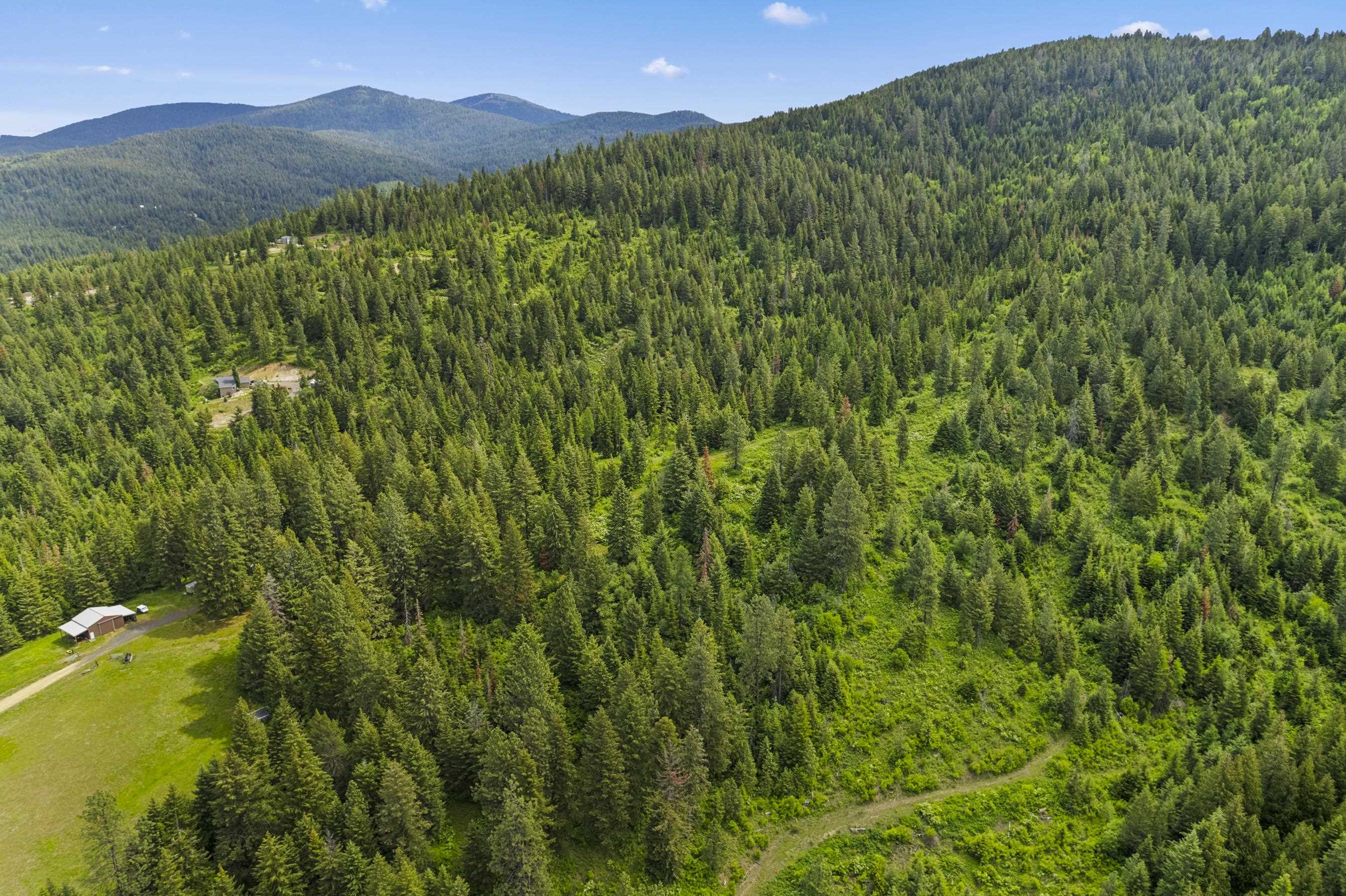 15124 East Emery Road Chattaroy, WA 99003 - Photo 17 of 26