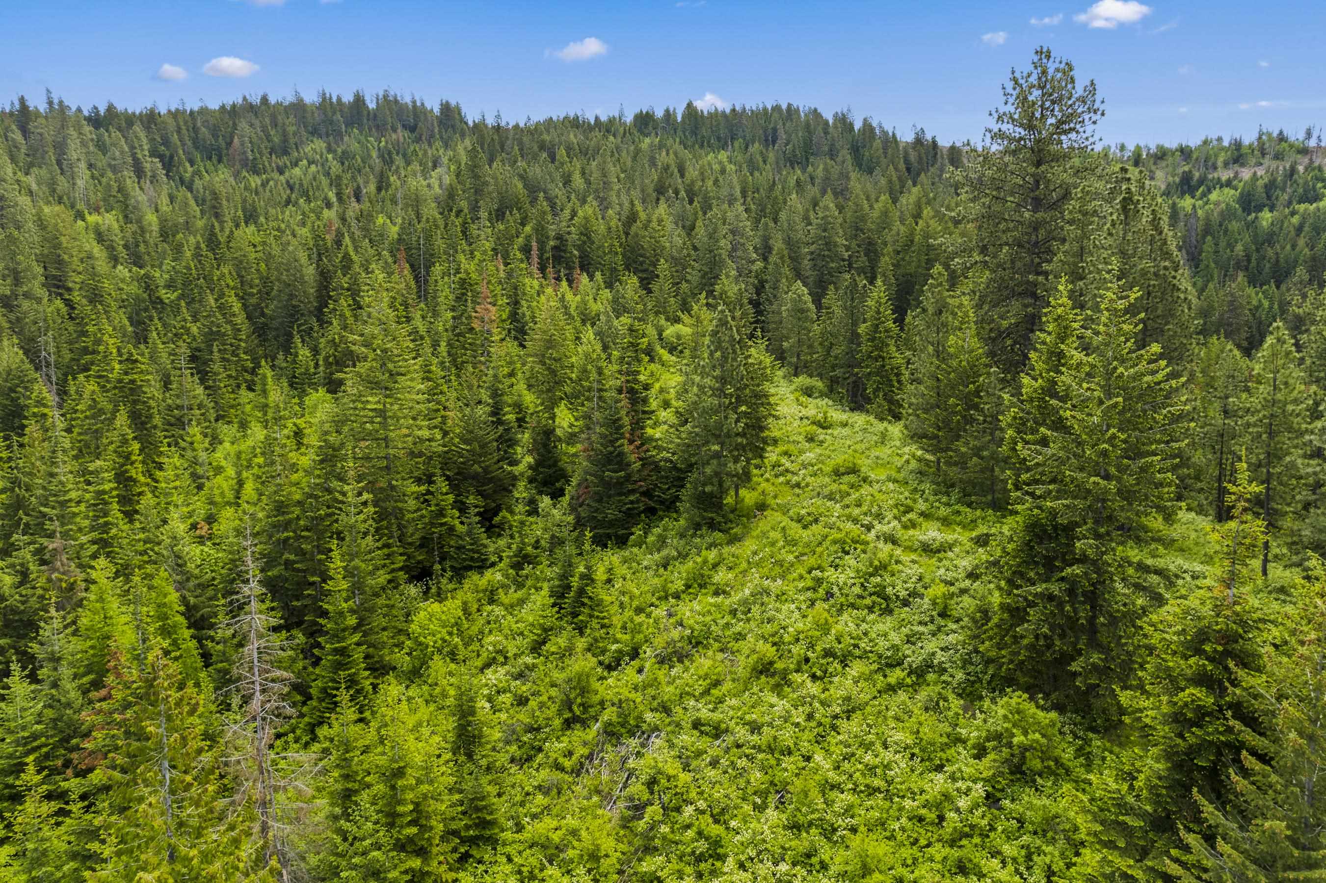 15124 East Emery Road Chattaroy, WA 99003 - Photo 18 of 26