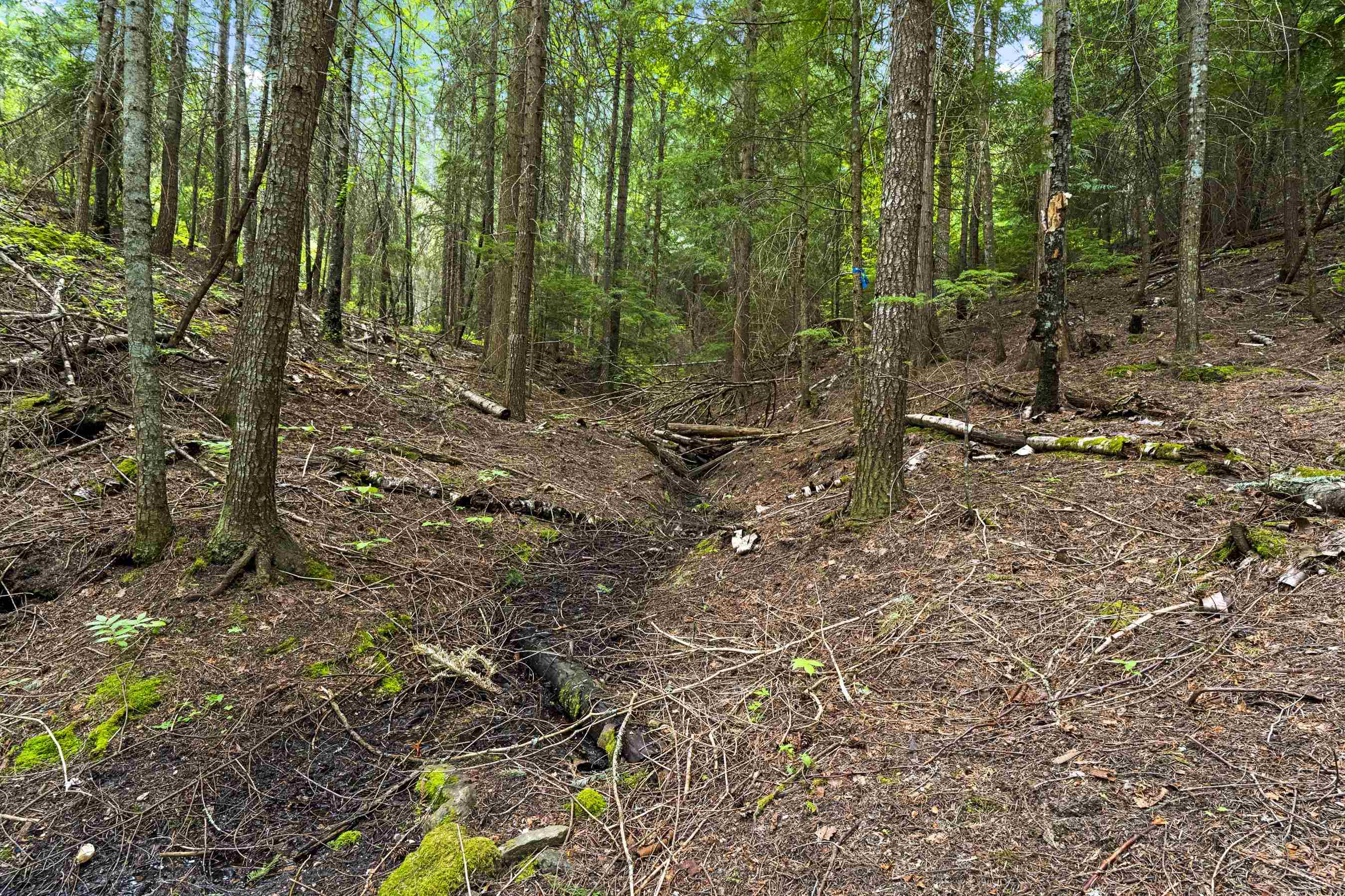 15124 East Emery Road Chattaroy, WA 99003 - Photo 21 of 26