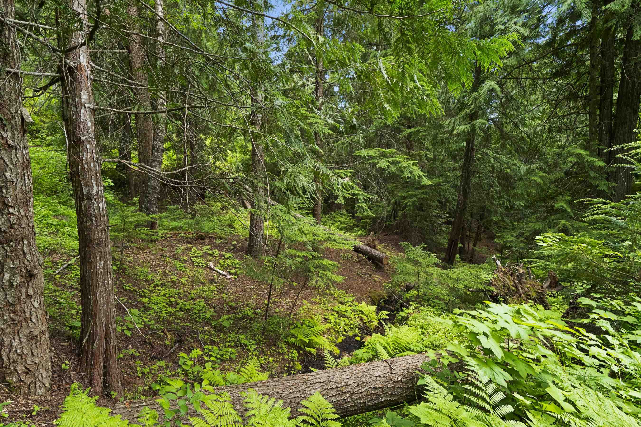 15124 East Emery Road Chattaroy, WA 99003 - Photo 22 of 26
