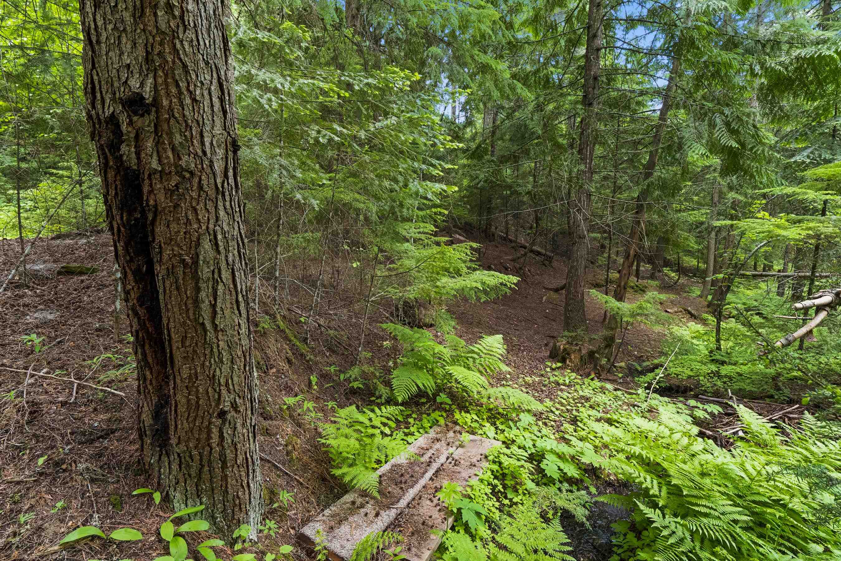 15124 East Emery Road Chattaroy, WA 99003 - Photo 23 of 26