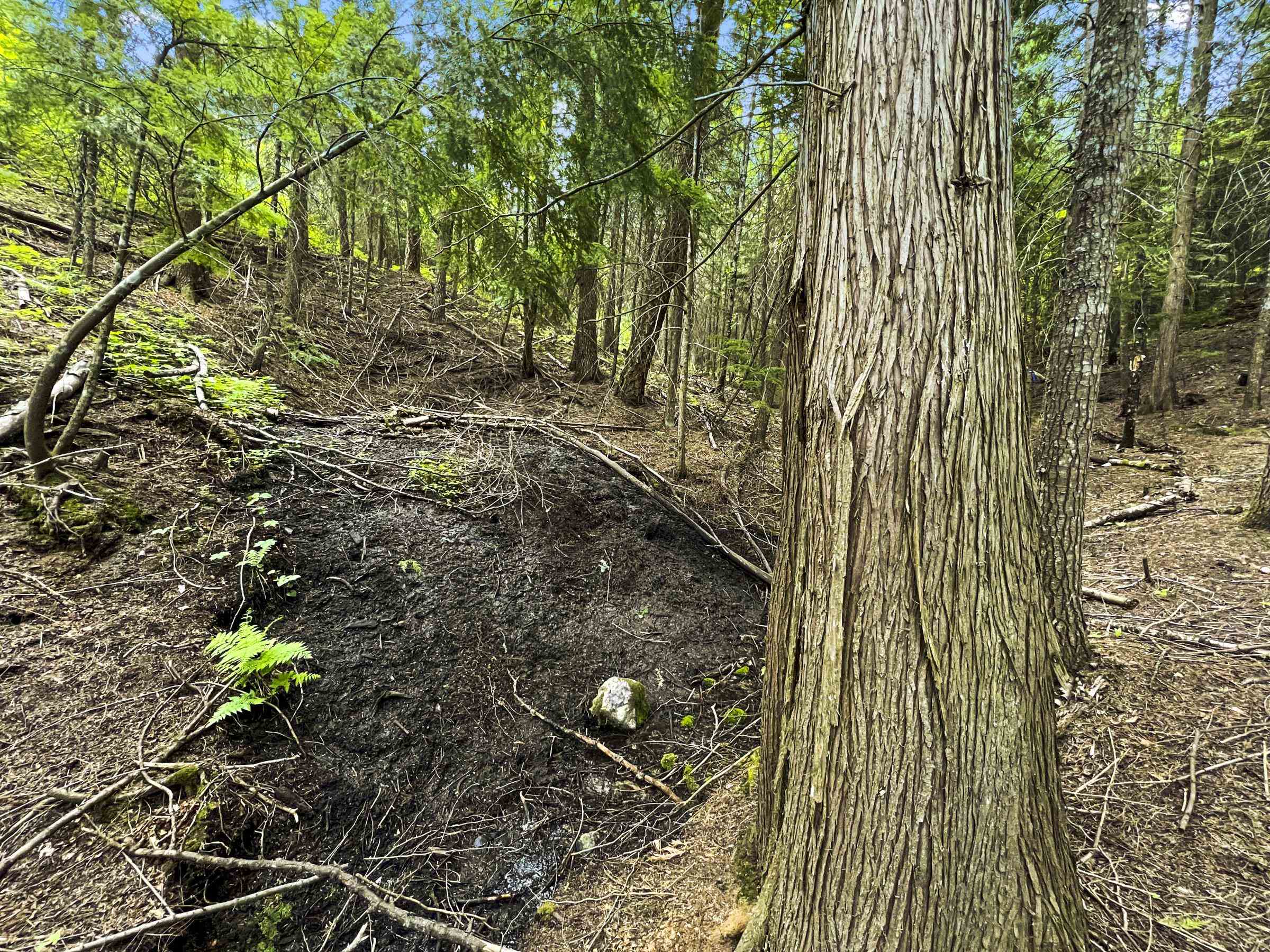 15124 East Emery Road Chattaroy, WA 99003 - Photo 25 of 26