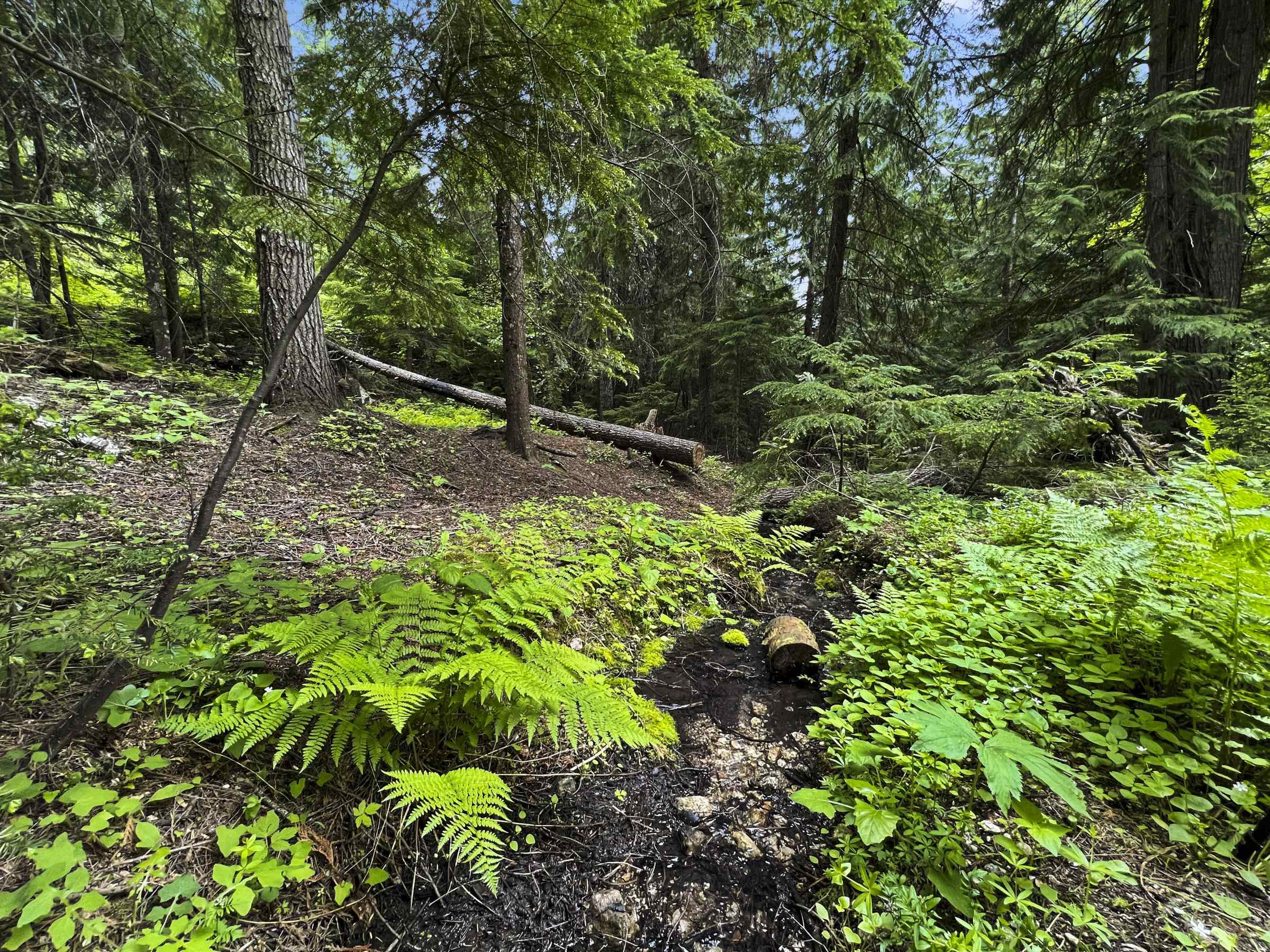 15124 East Emery Road Chattaroy, WA 99003 - Photo 26 of 26
