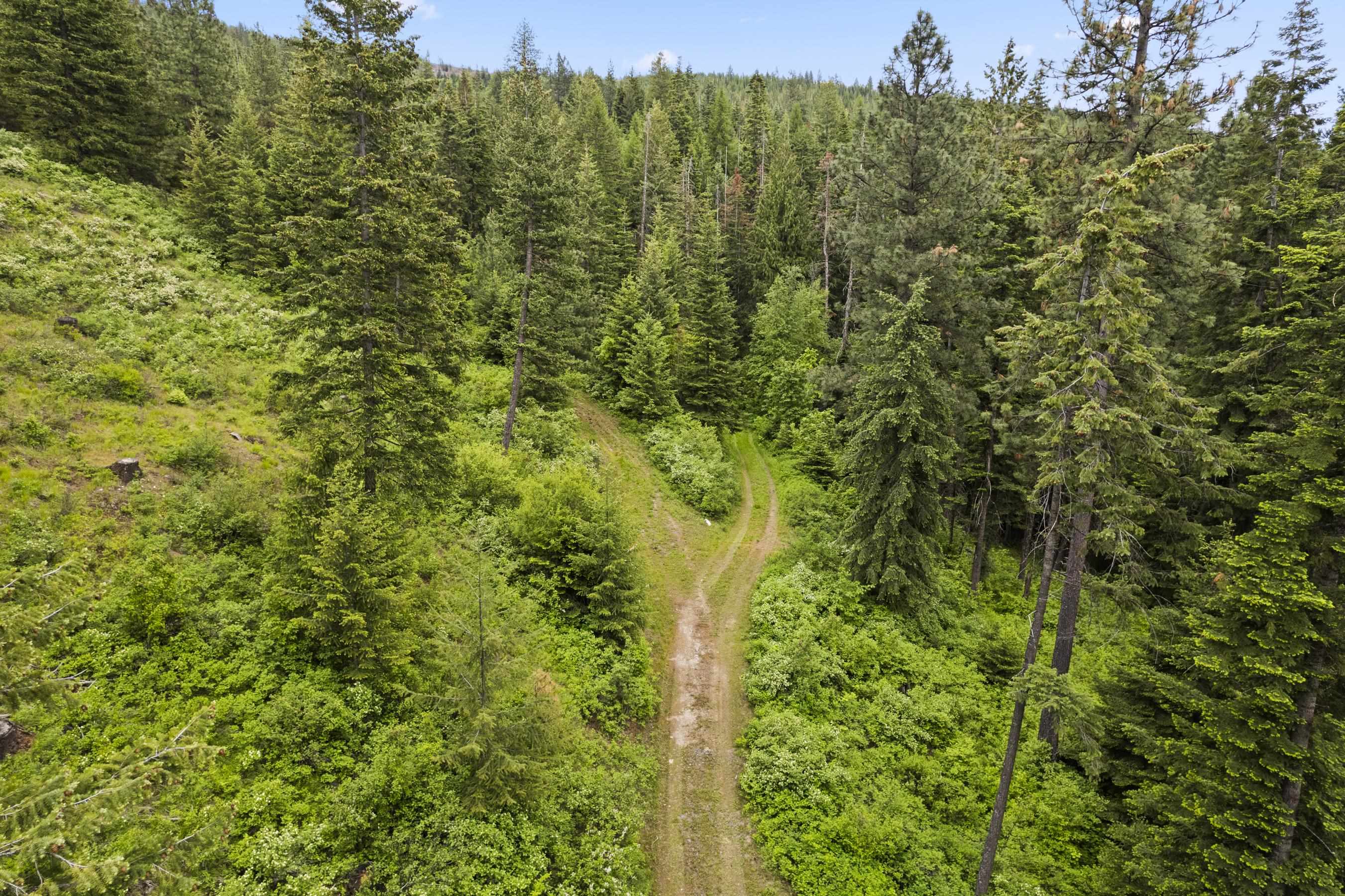 15124 East Emery Road Chattaroy, WA 99003 - Photo 4 of 26