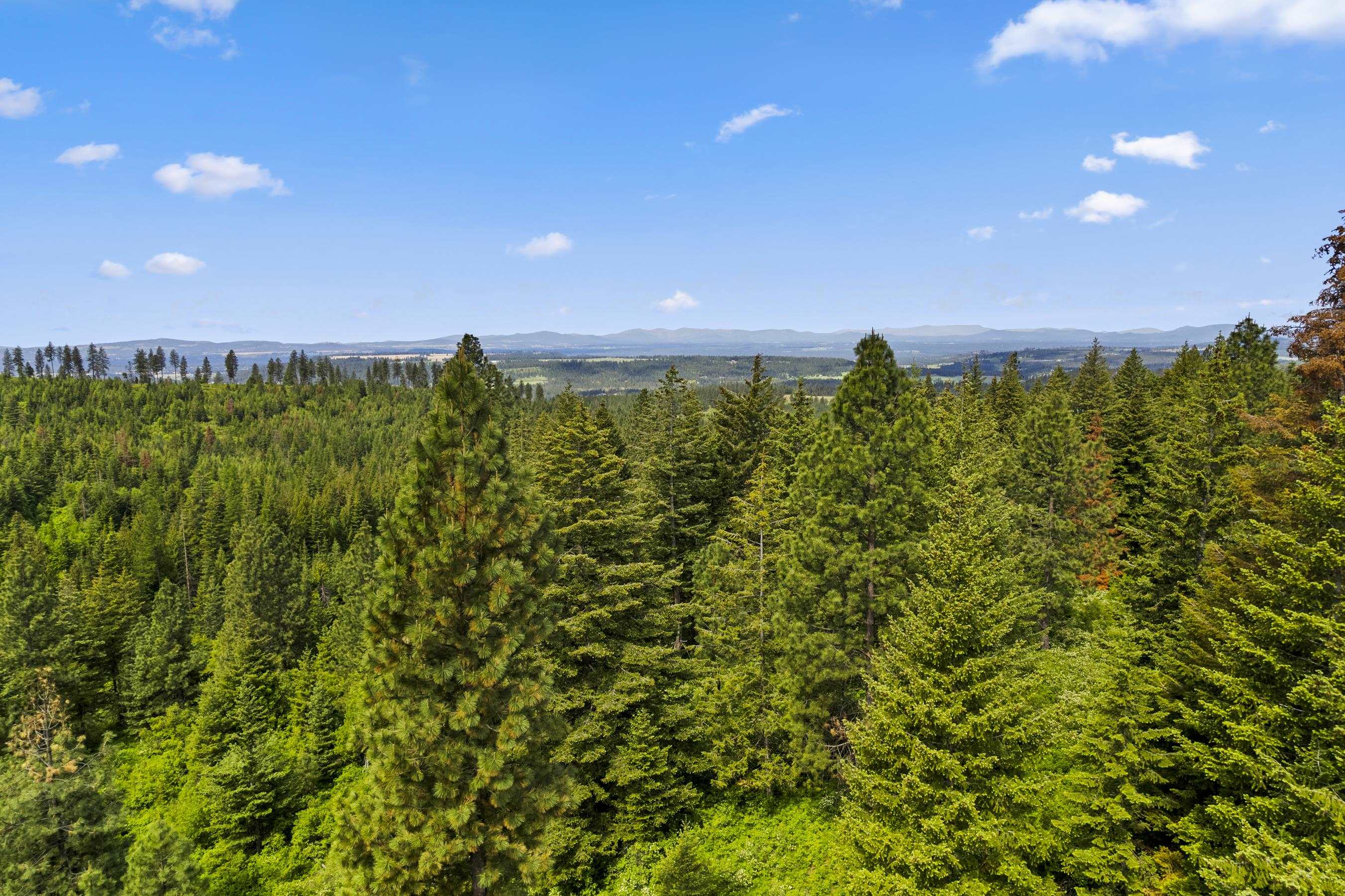 15124 East Emery Road Chattaroy, WA 99003 - Photo 5 of 26