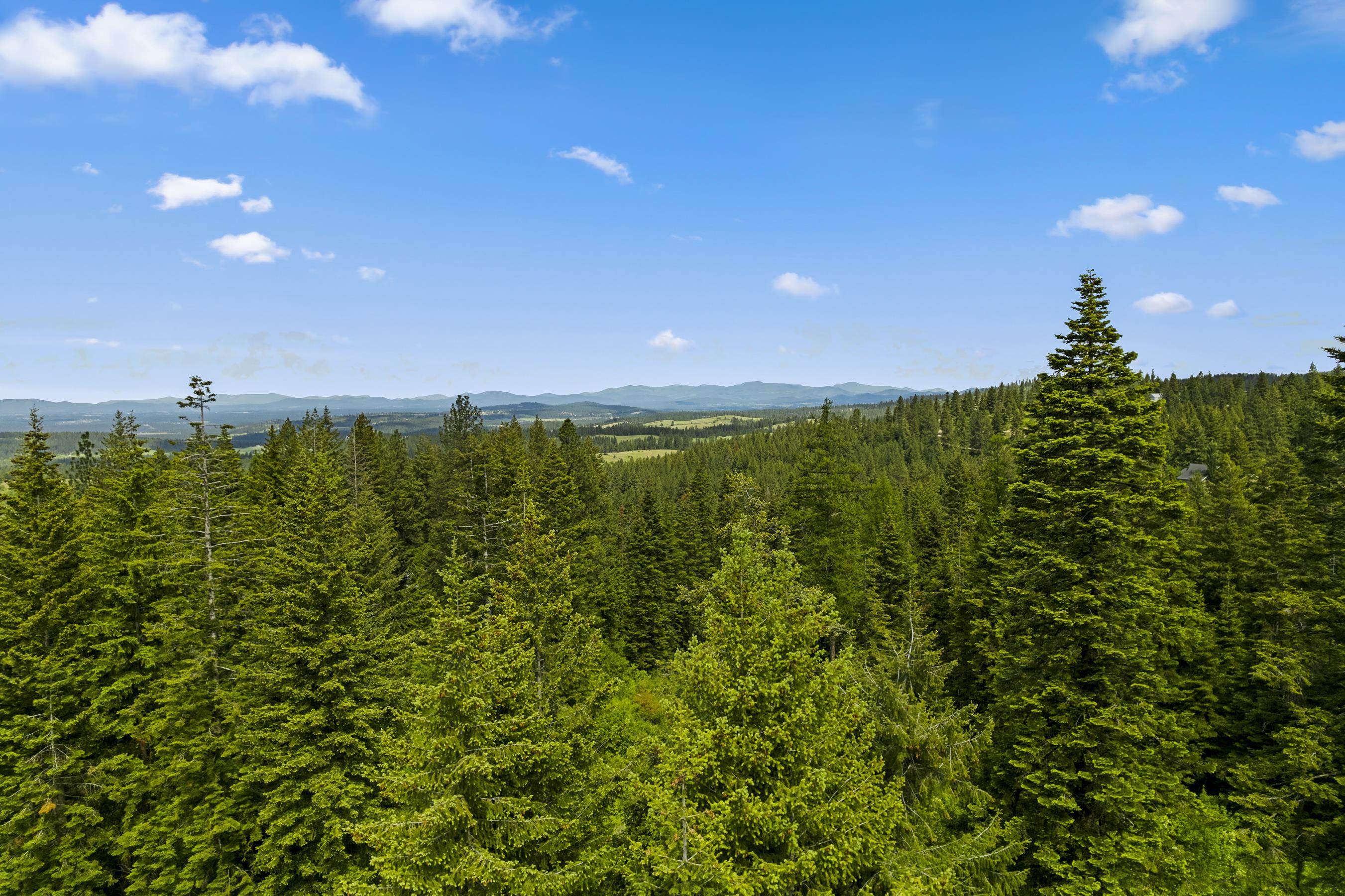 15124 East Emery Road Chattaroy, WA 99003 - Photo 6 of 26