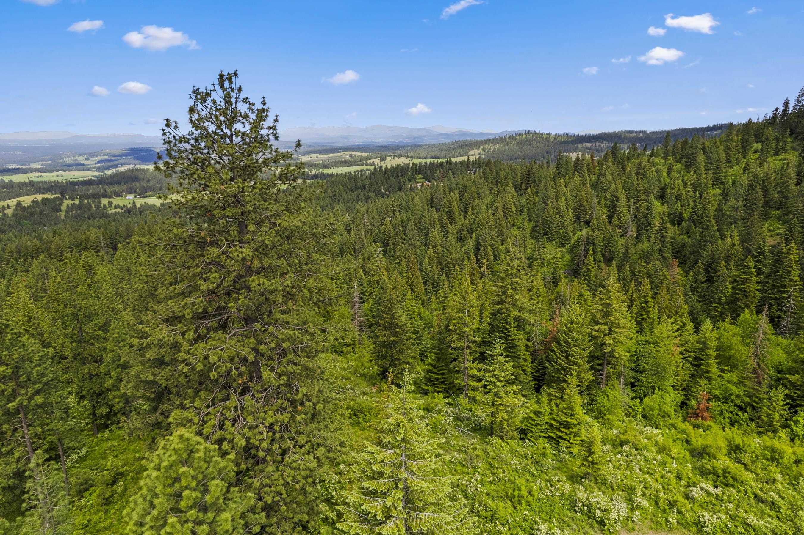 15124 East Emery Road Chattaroy, WA 99003 - Photo 10 of 26