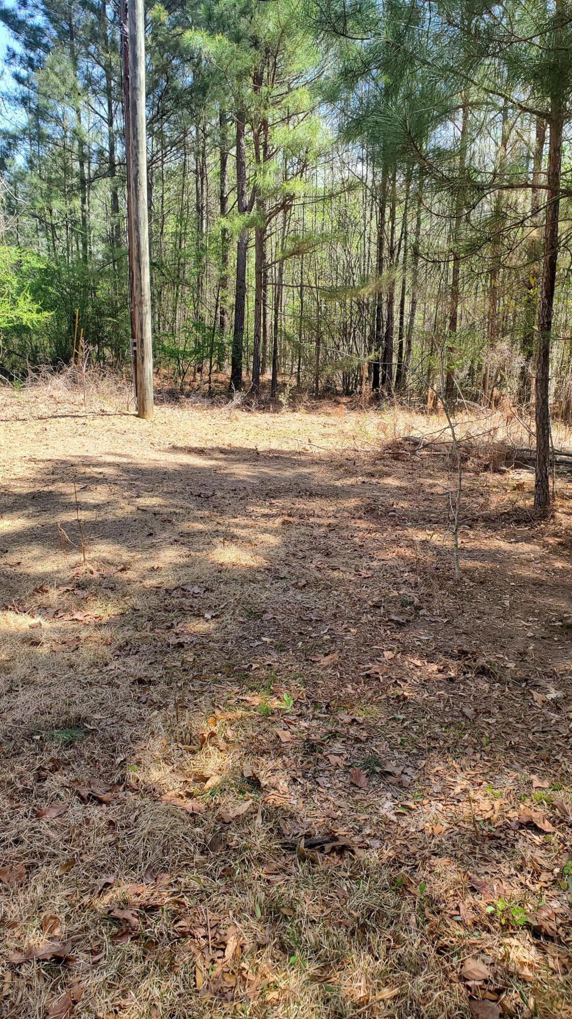 1914 Dotson Road Jasper, AL 35504 - Photo 4 of 8 Gallery Image 4