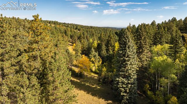Rampart Range Road Sedalia, CO 80135 - Photo 8 of 20 View of landscape