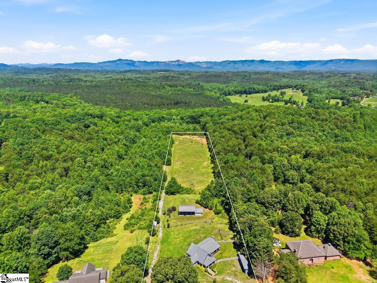 619 Little Pond Road Easley, SC 29640 - Photo 46 of 47