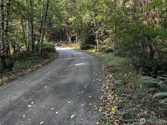 a view of dirt yard with a large tree