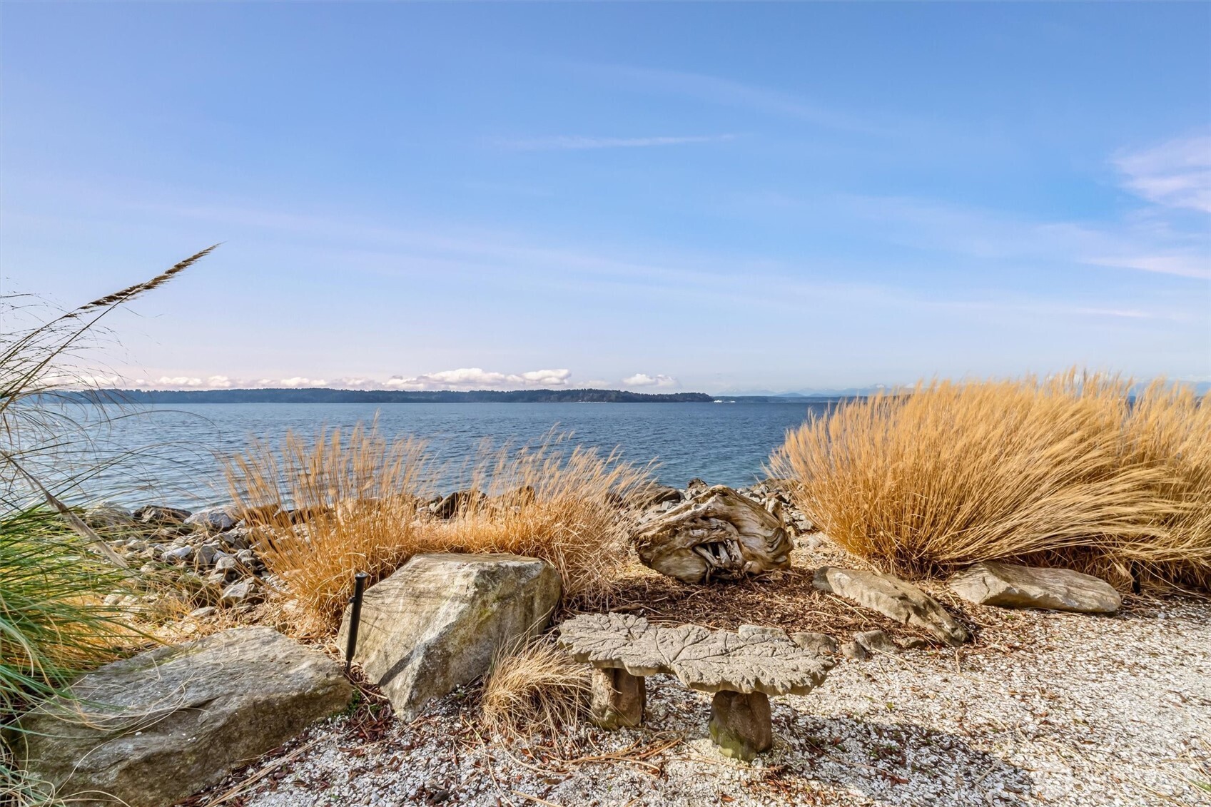 10203 47th Avenue Southwest, Unit D2 Seattle, WA 98146 - Photo 23 of 36 a view of ocean with a big yard