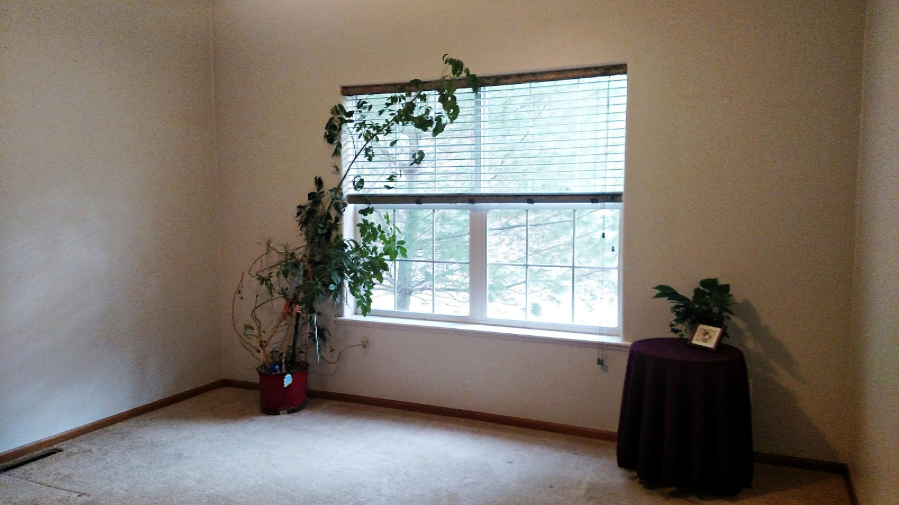 875 Dunbar Road Branch, MI 49402 - Photo 23 of 36 IMG_20191122_145245780
