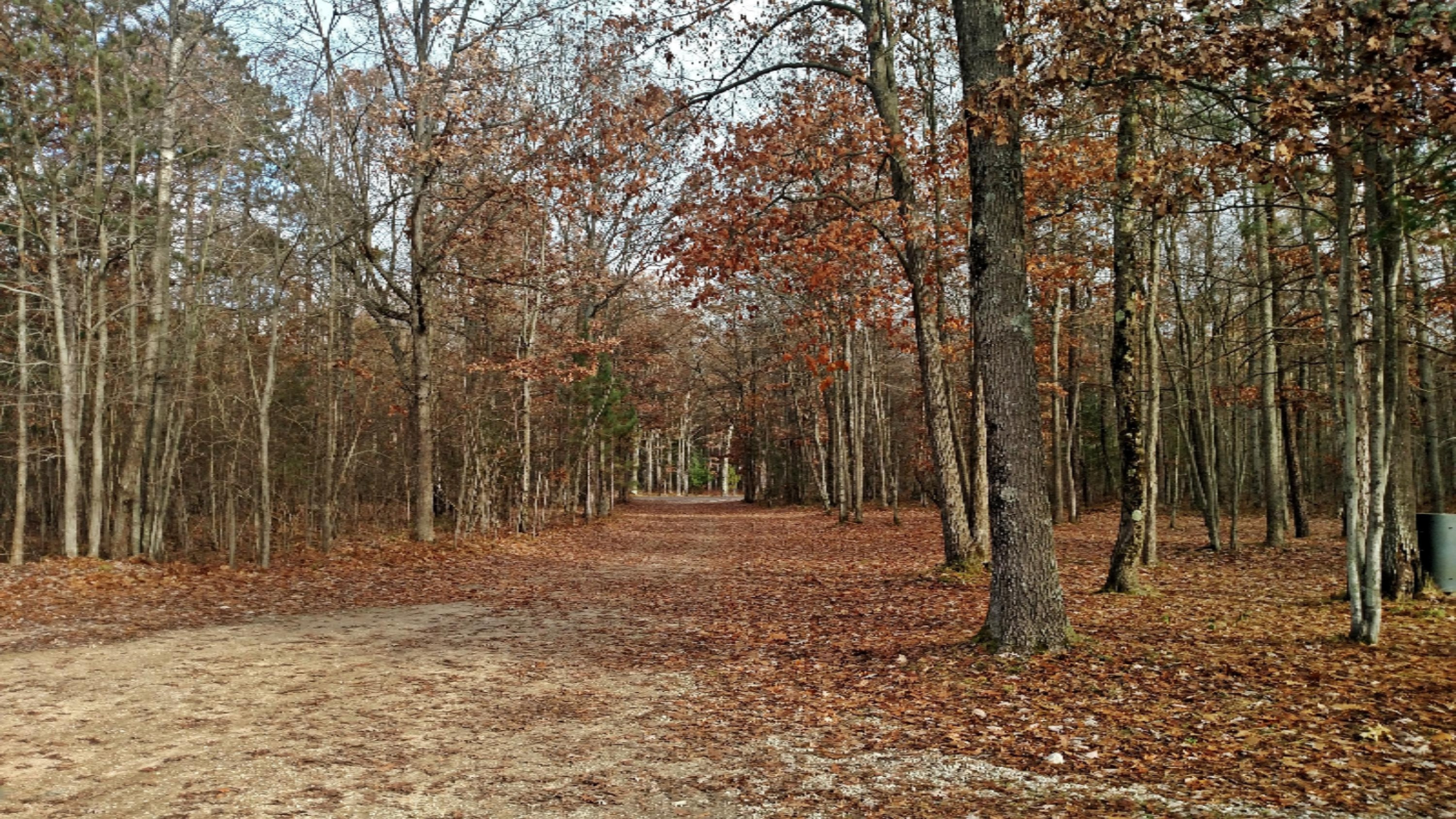 875 Dunbar Road Branch, MI 49402 - Photo 32 of 36 IMG_20191122_145754678