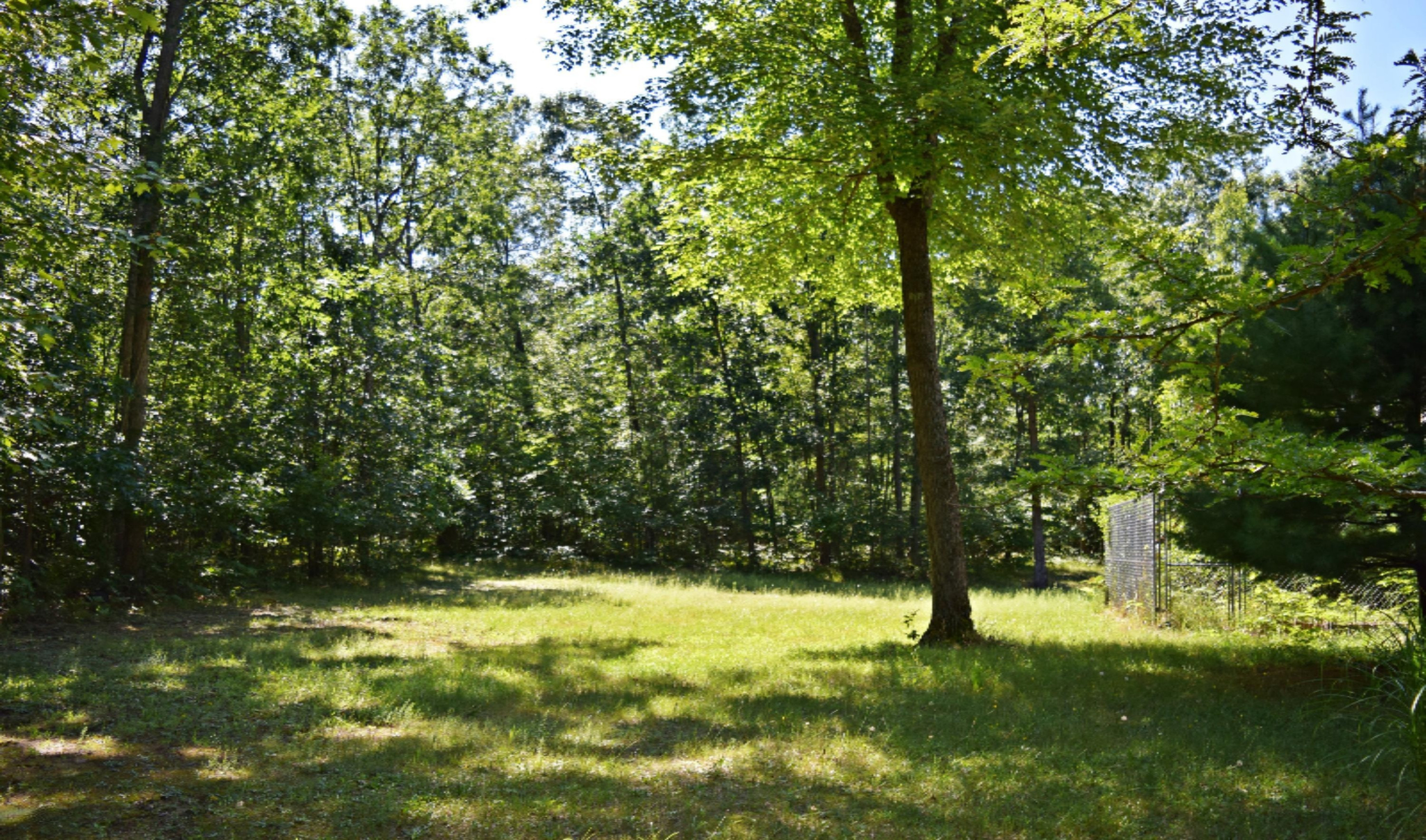 875 Dunbar Road Branch, MI 49402 - Photo 35 of 36 DSC_0581