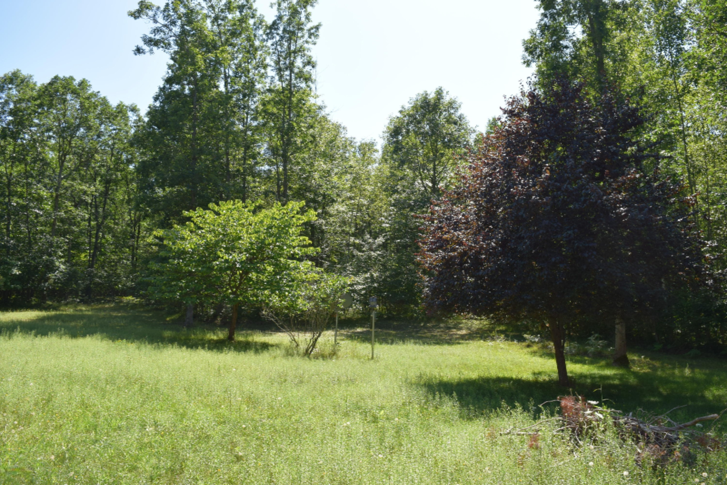 875 Dunbar Road Branch, MI 49402 - Photo 36 of 36 DSC_0574