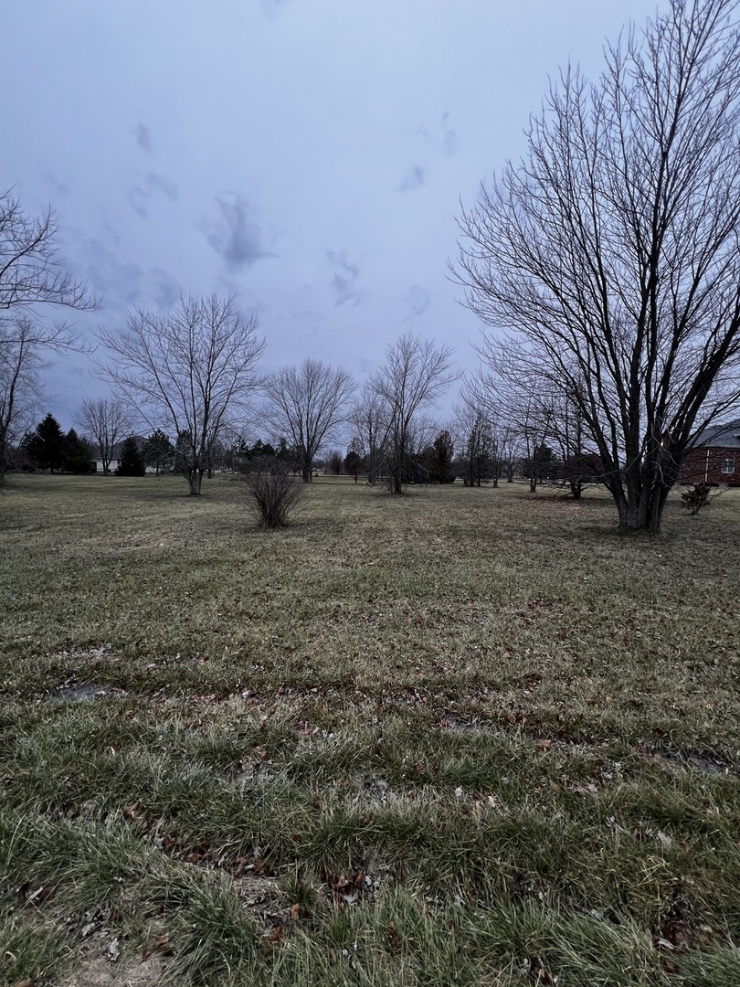 4816 West Roberts Ridge Road Monee, IL 60449 - Photo 11 of 12 a view of dirt yard with a tree