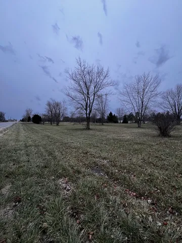 a view of a field with a tree