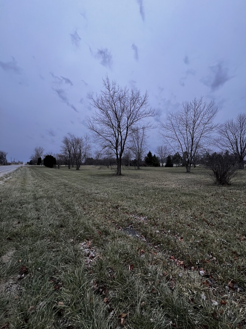 4816 West Roberts Ridge Road Monee, IL 60449 - Photo 12 of 12 a view of a field with a tree