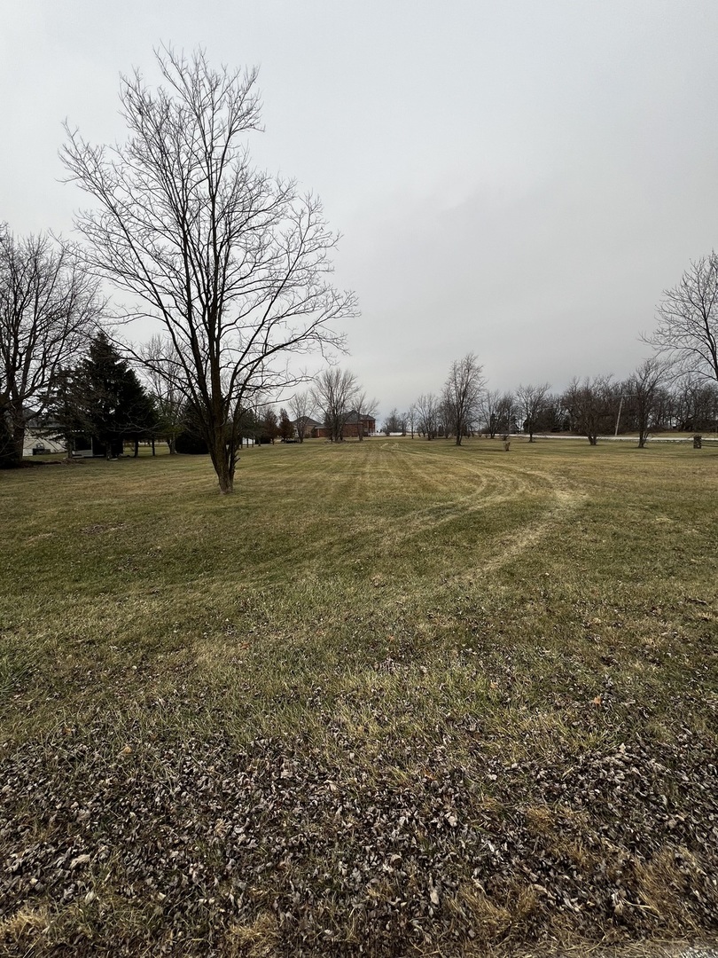 4816 West Roberts Ridge Road Monee, IL 60449 - Photo 3 of 12 a view of a field with an trees in the background