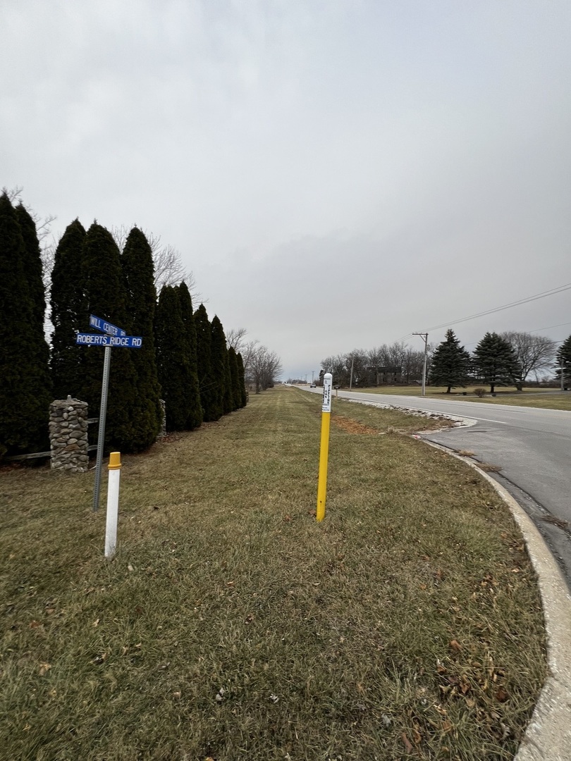 4816 West Roberts Ridge Road Monee, IL 60449 - Photo 6 of 12 a swimming pool with a yard