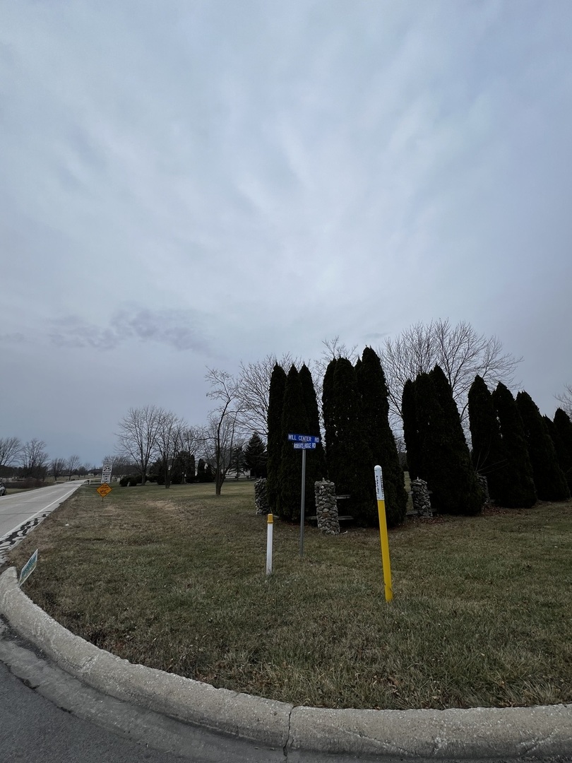 4816 West Roberts Ridge Road Monee, IL 60449 - Photo 8 of 12 a view of a outdoor space