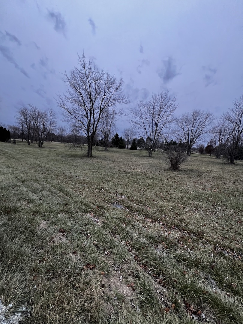 4816 West Roberts Ridge Road Monee, IL 60449 - Photo 10 of 12 a view of a house with a yard
