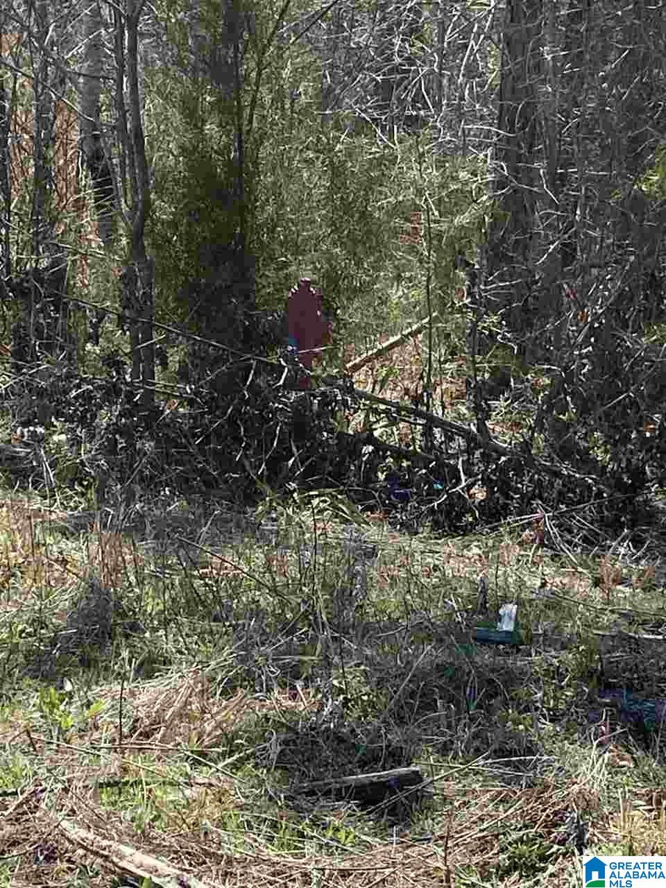 500 Smith Road Trafford, AL 35172 - Photo 4 of 5