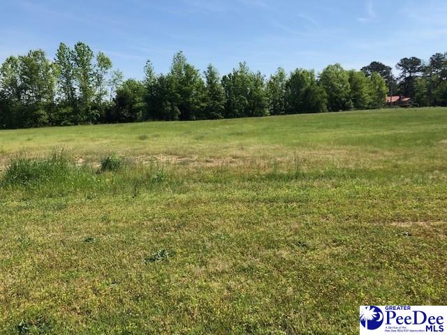 1.45-ac Tract 1.45-ac Tract State Road Cheraw, SC 29520 - Photo 3 of 4 Gallery Image 3