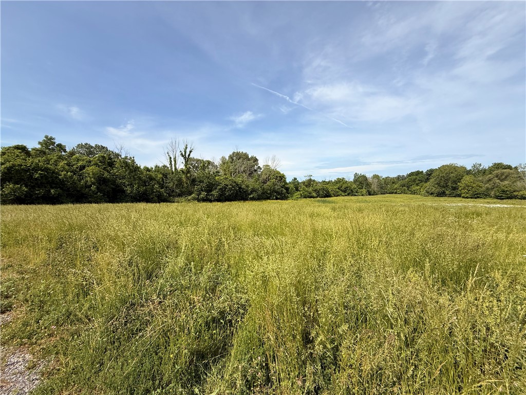 Lot #4 Purdy Road Canandaigua, NY 14424 - Photo 3 of 4