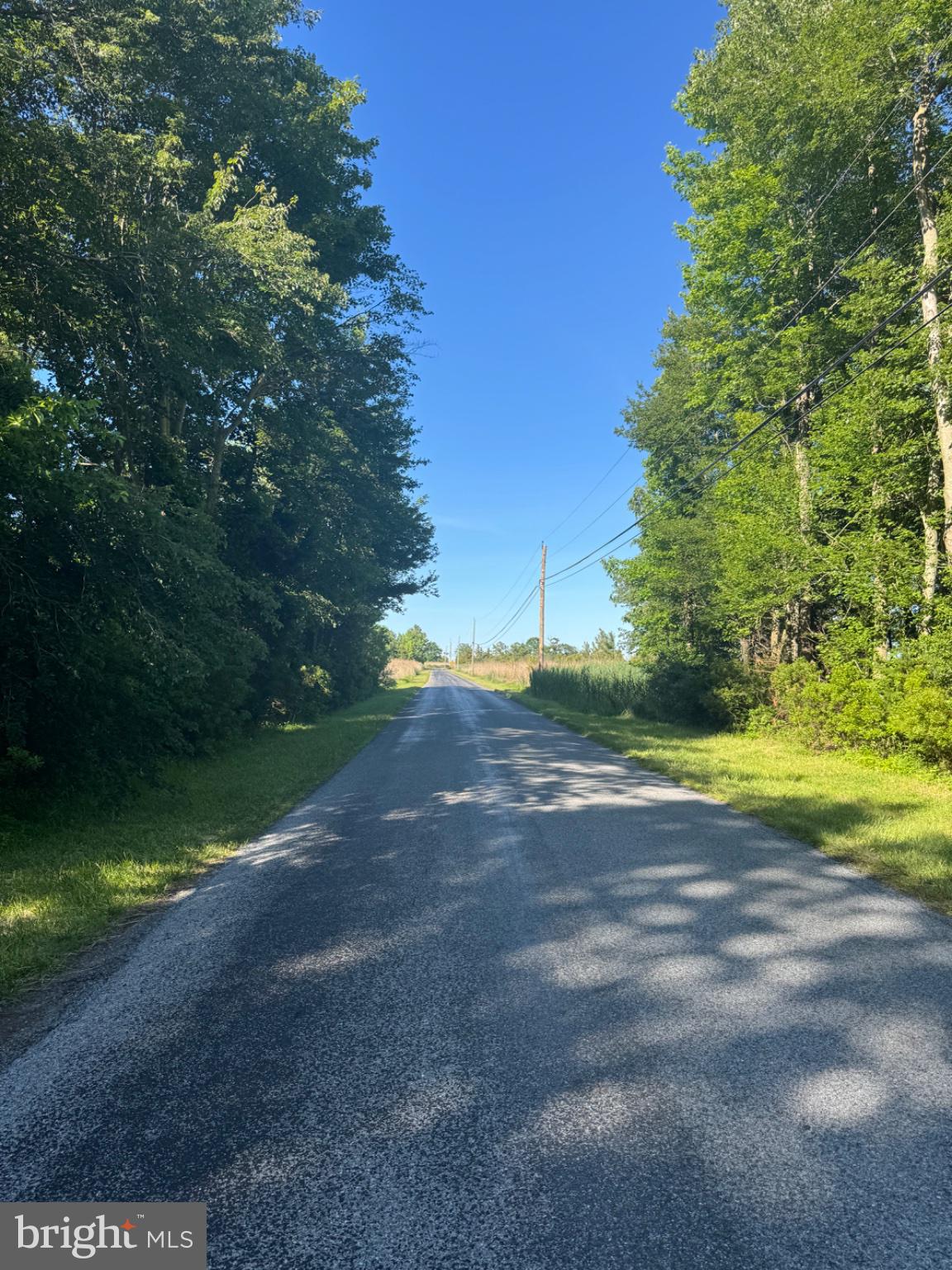 47 Pickering Beach Road Dover, DE 19901 - Photo 1 of 12 Serene country road under blue skies.
