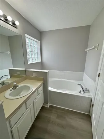 a bathroom with a sink and a bathtub