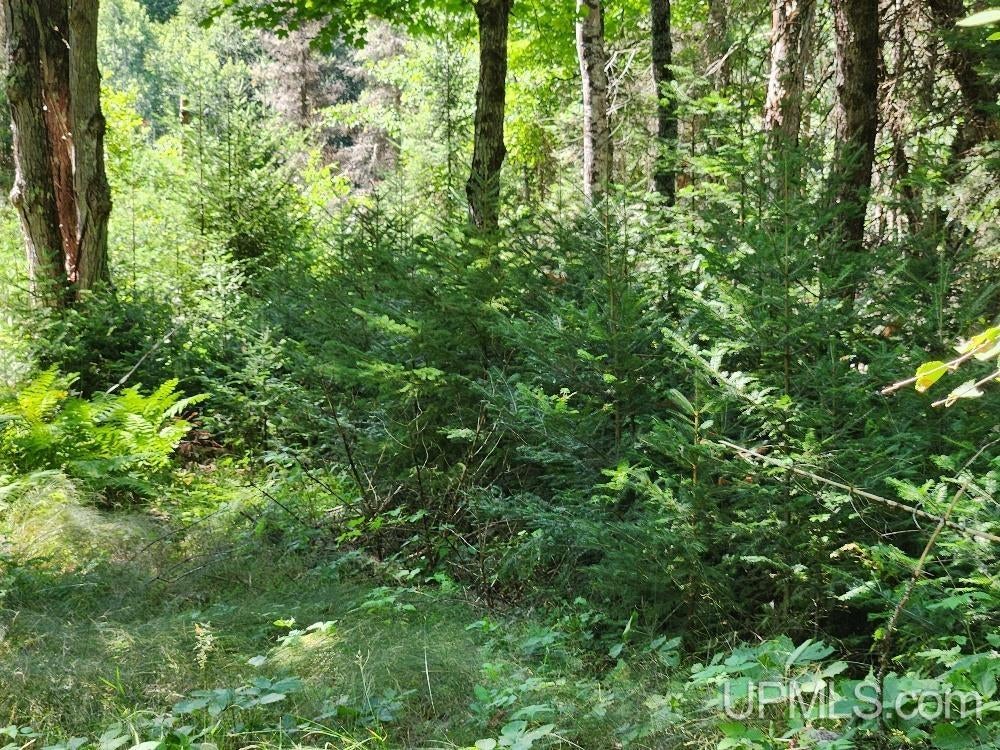 2.63-acres Sheltrow Road, Unit LOT 6PAINT RIVER HIGHLAN Crystal Falls, MI 49920 - Photo 19 of 53 Gallery Image 19