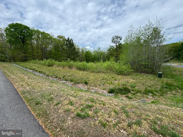 a view of a field with plants and trees
