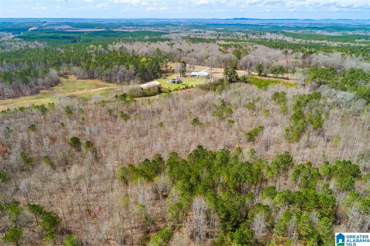 4199 Cowpens Road Alexander City, AL 35010 - Photo 32 of 50