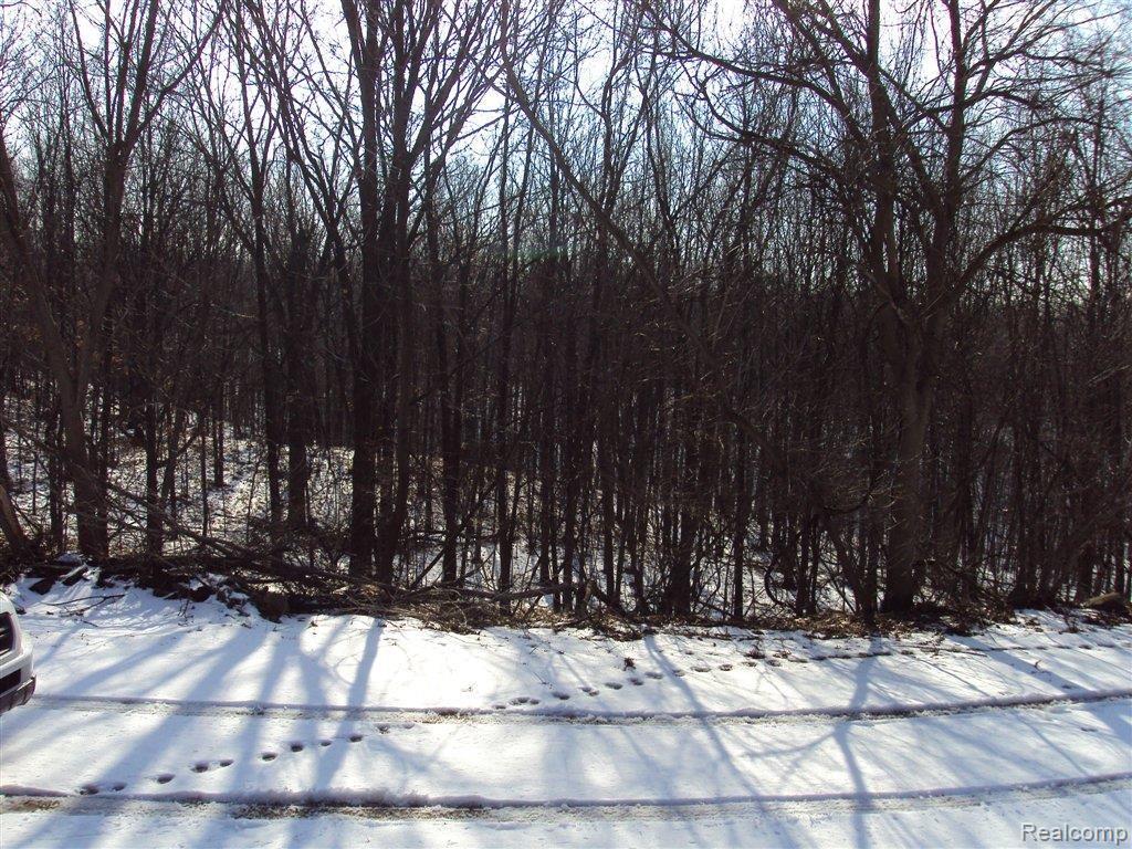 11200 Watchbird Road Fenton, MI 48430 - Photo 6 of 9 Private and Wooded