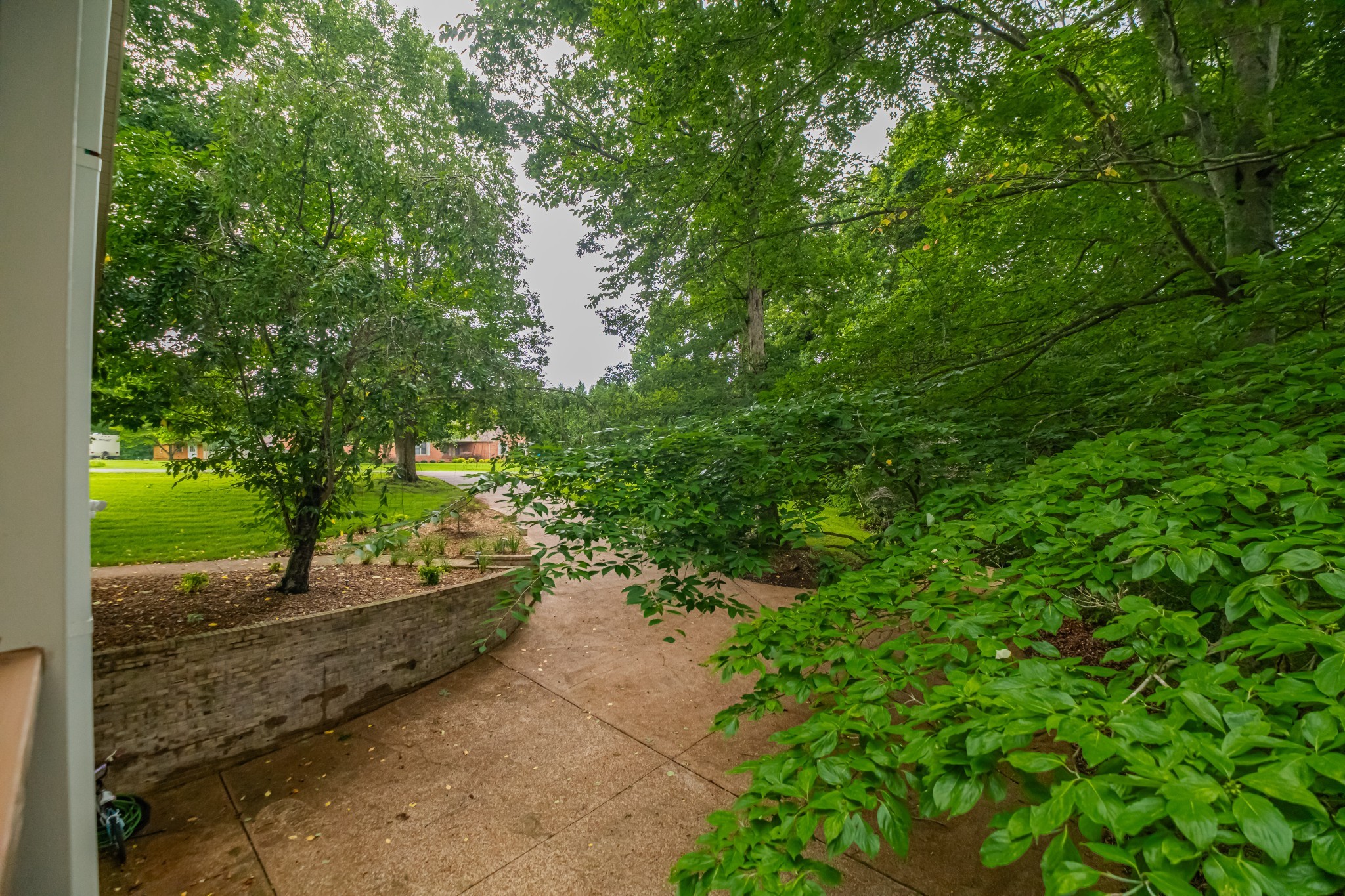255 Flora Lane Manchester, TN 37355 - Photo 47 of 53 a view of a yard with plants and large trees