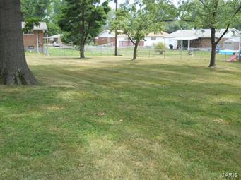 860 Reavis Barracks Road St. Louis, MO 63125 - Photo 21 of 22 Gallery Image 21