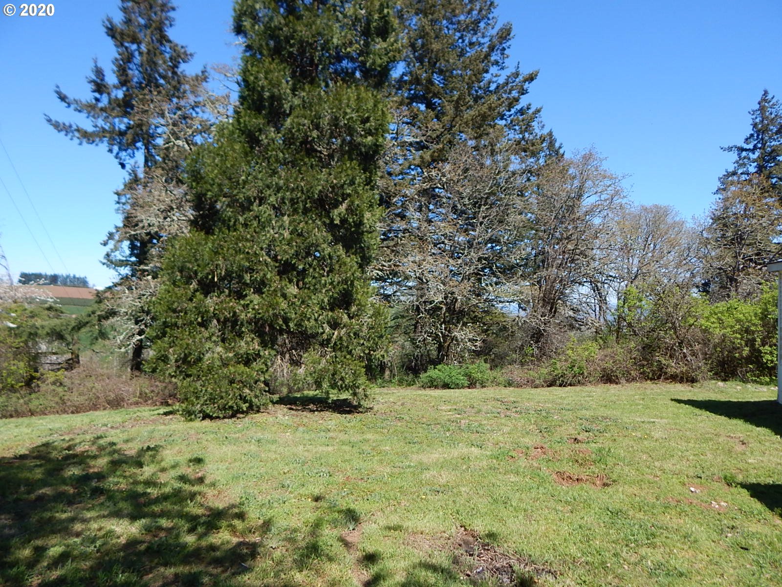 11723 Summit Loop Road Southeast Jefferson, OR 97352 - Photo 12 of 30 Gallery Image 12