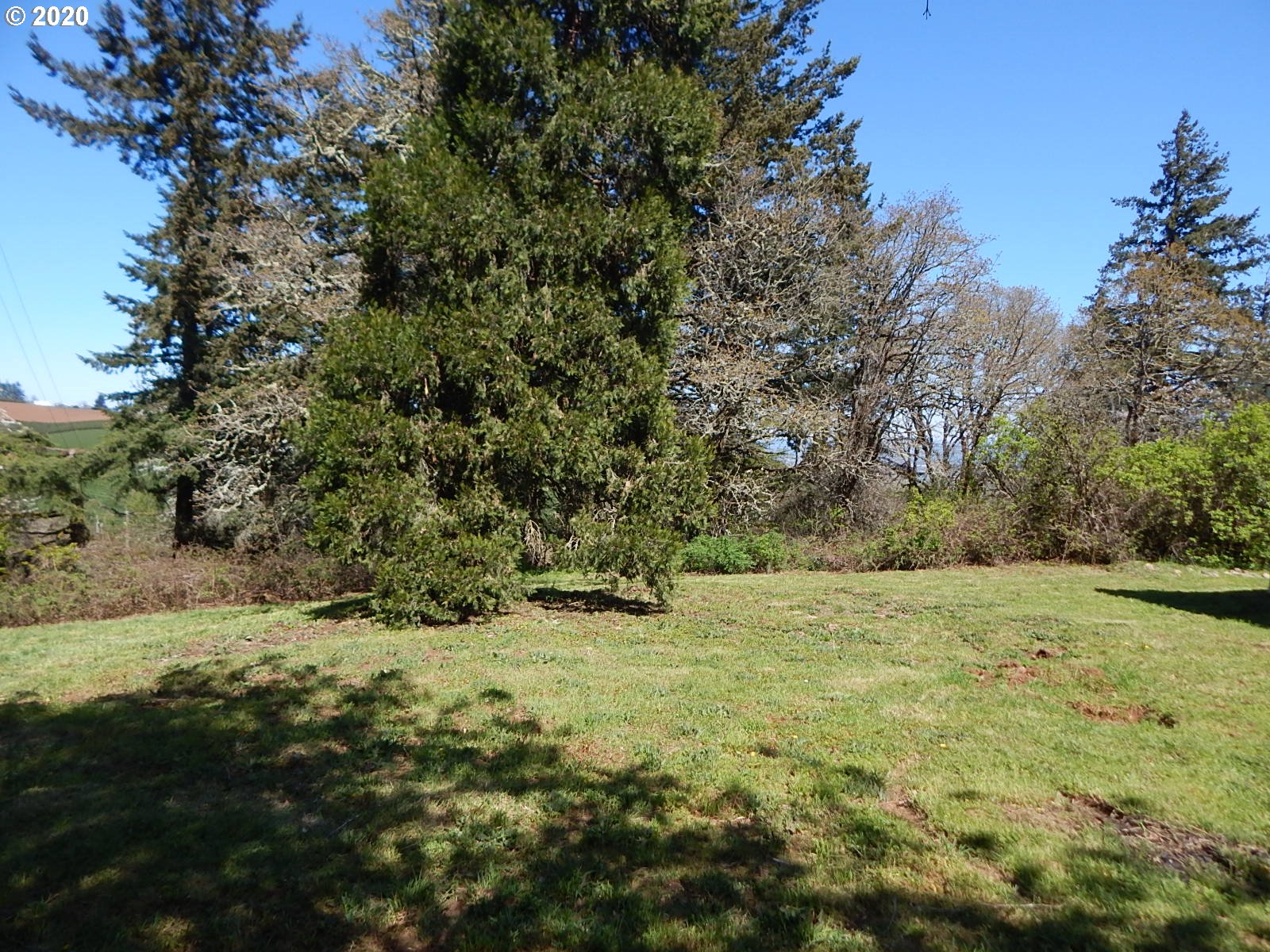 11723 Summit Loop Road Southeast Jefferson, OR 97352 - Photo 13 of 30 Gallery Image 13