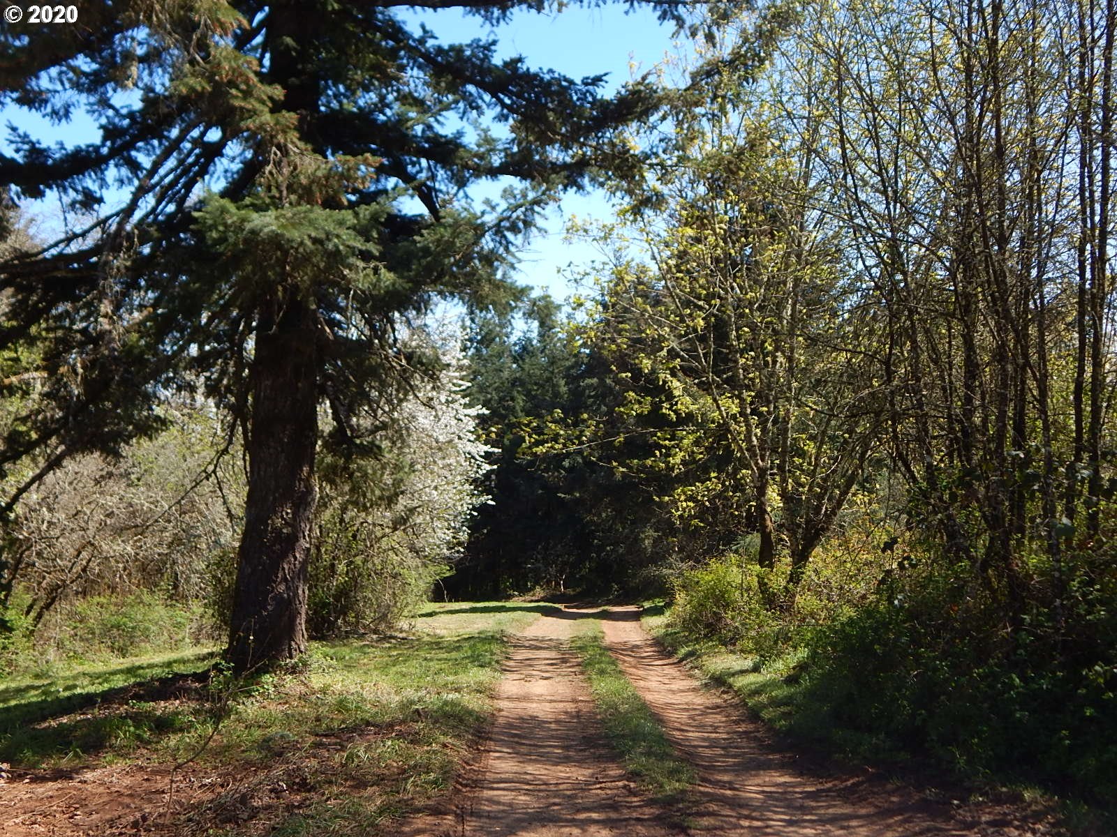 11723 Summit Loop Road Southeast Jefferson, OR 97352 - Photo 28 of 30 Gallery Image 28