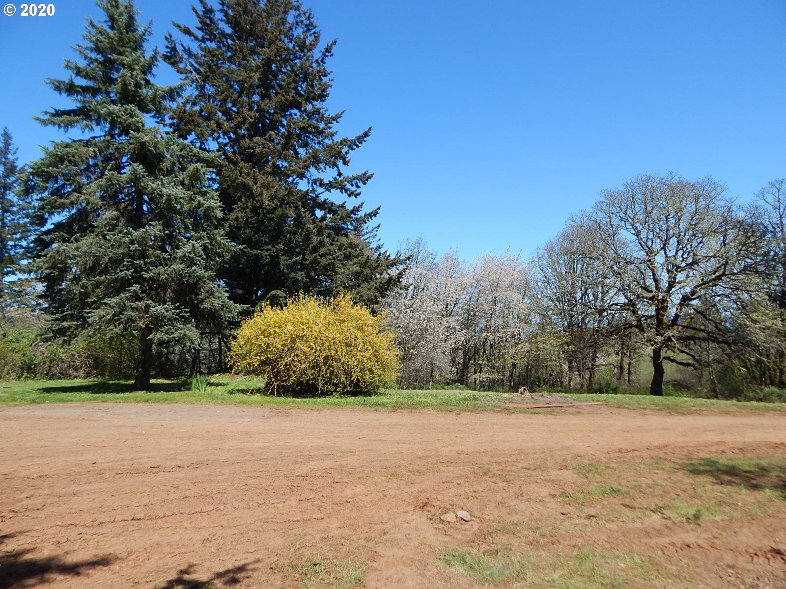 11723 Summit Loop Road Southeast Jefferson, OR 97352 - Photo 5 of 30 Gallery Image 5