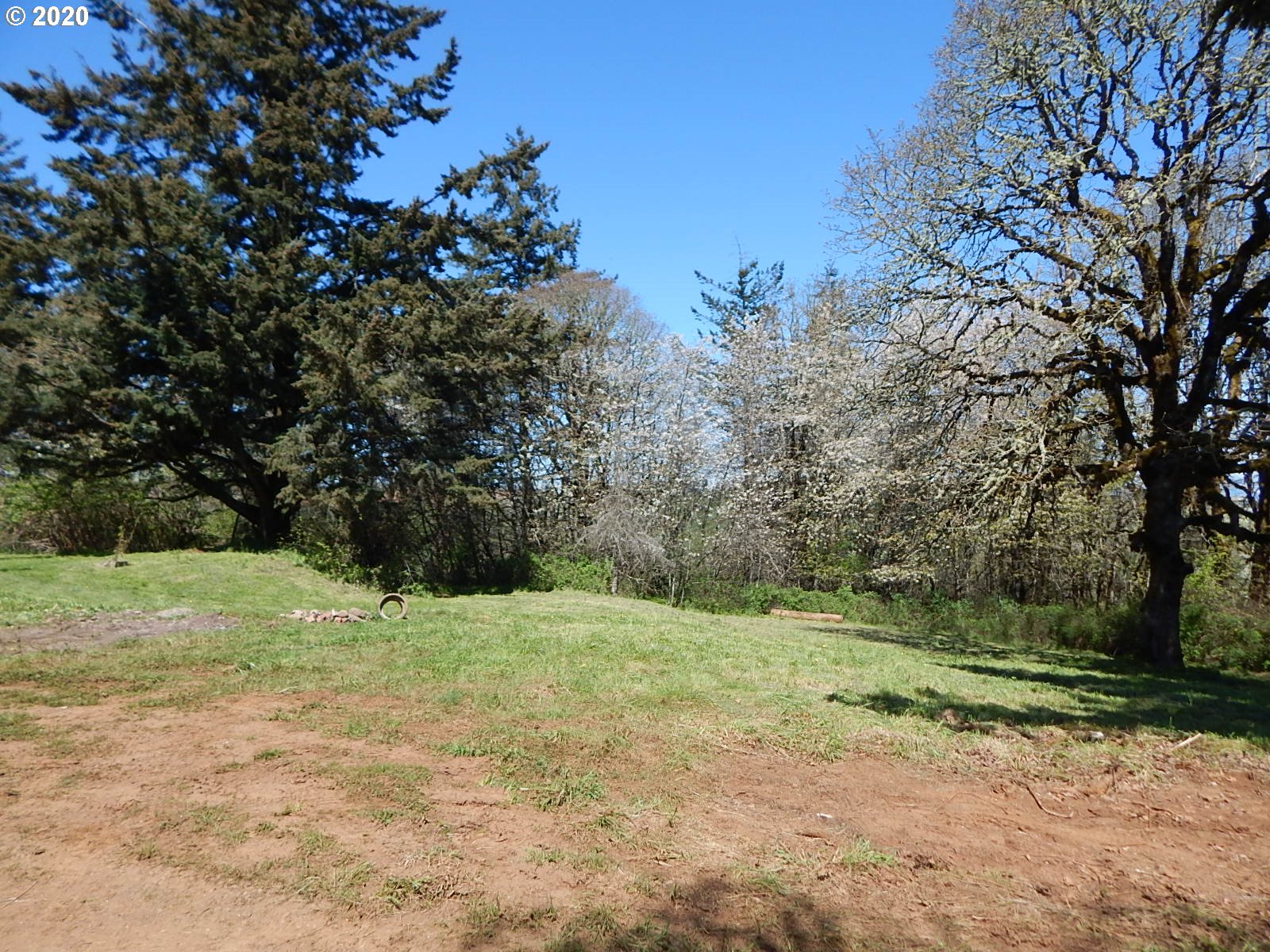 11723 Summit Loop Road Southeast Jefferson, OR 97352 - Photo 10 of 30 Gallery Image 10