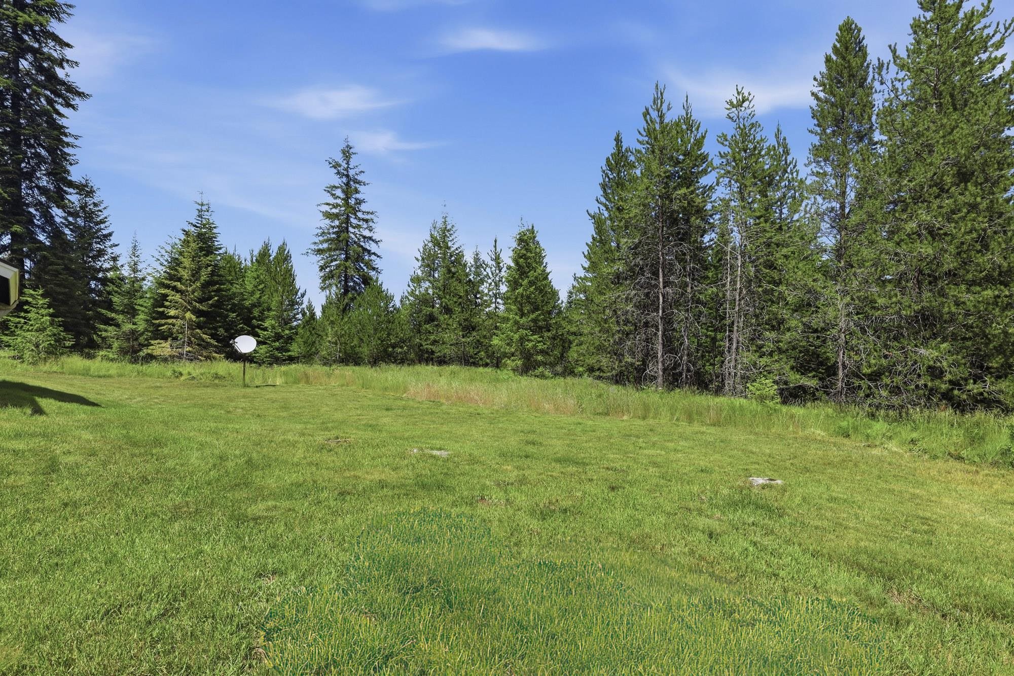 851 Balcom Road Newport, WA 99156 - Photo 33 of 50